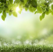 enviro_main